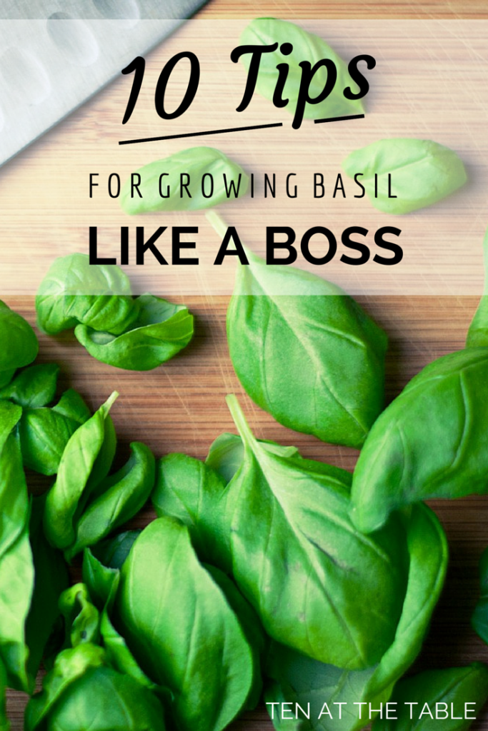 http://www.madetobeamomma.com/wp-content/uploads/2015/05/Basil-Tips-1-683x1024.png