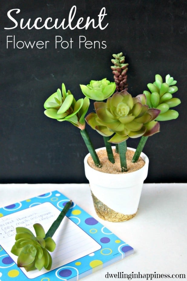 http://www.madetobeamomma.com/wp-content/uploads/2015/05/Succulent-Flower-Pot-Pens-from-Dwelling-in-Happiness-618x930.jpg