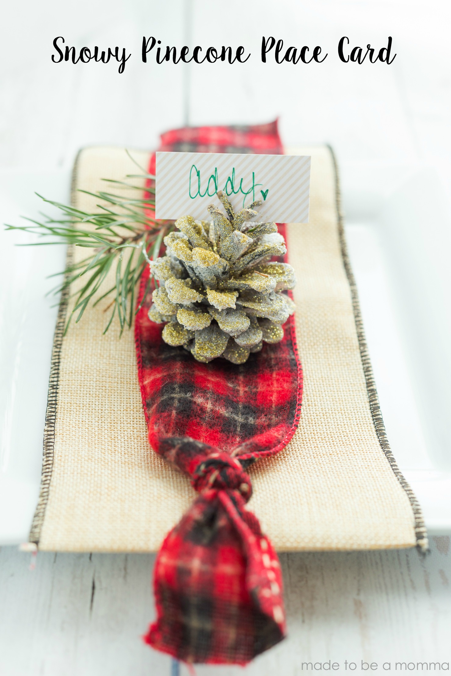 Snowy Pinecone Place Card
