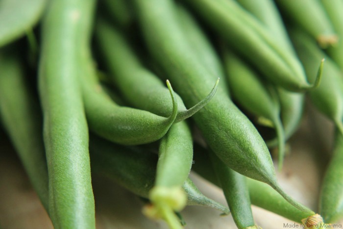 Close Up of Green Beans