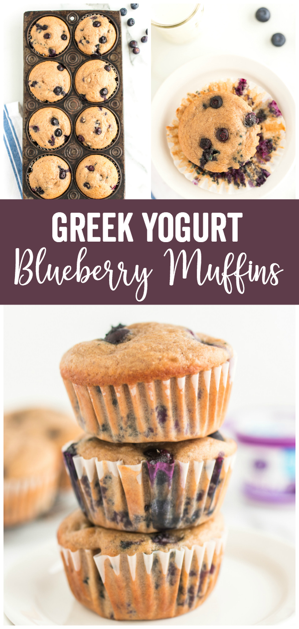 Blueberry Greek Yogurt Muffins are a delicious muffin recipe perfect for breakfast, after school, and just as a treat! The blueberries and blueberry greek yogurt gives it a great blueberry flavor! 