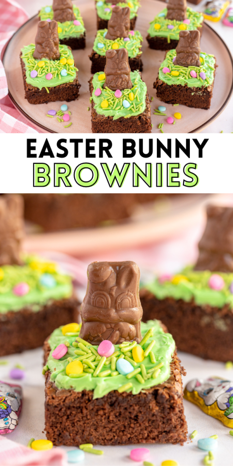 Easter Bunny Brownies are a festive treat for Spring! Add frosting, festive sprinkles and a chocolate bunny for a festive Easter dessert!