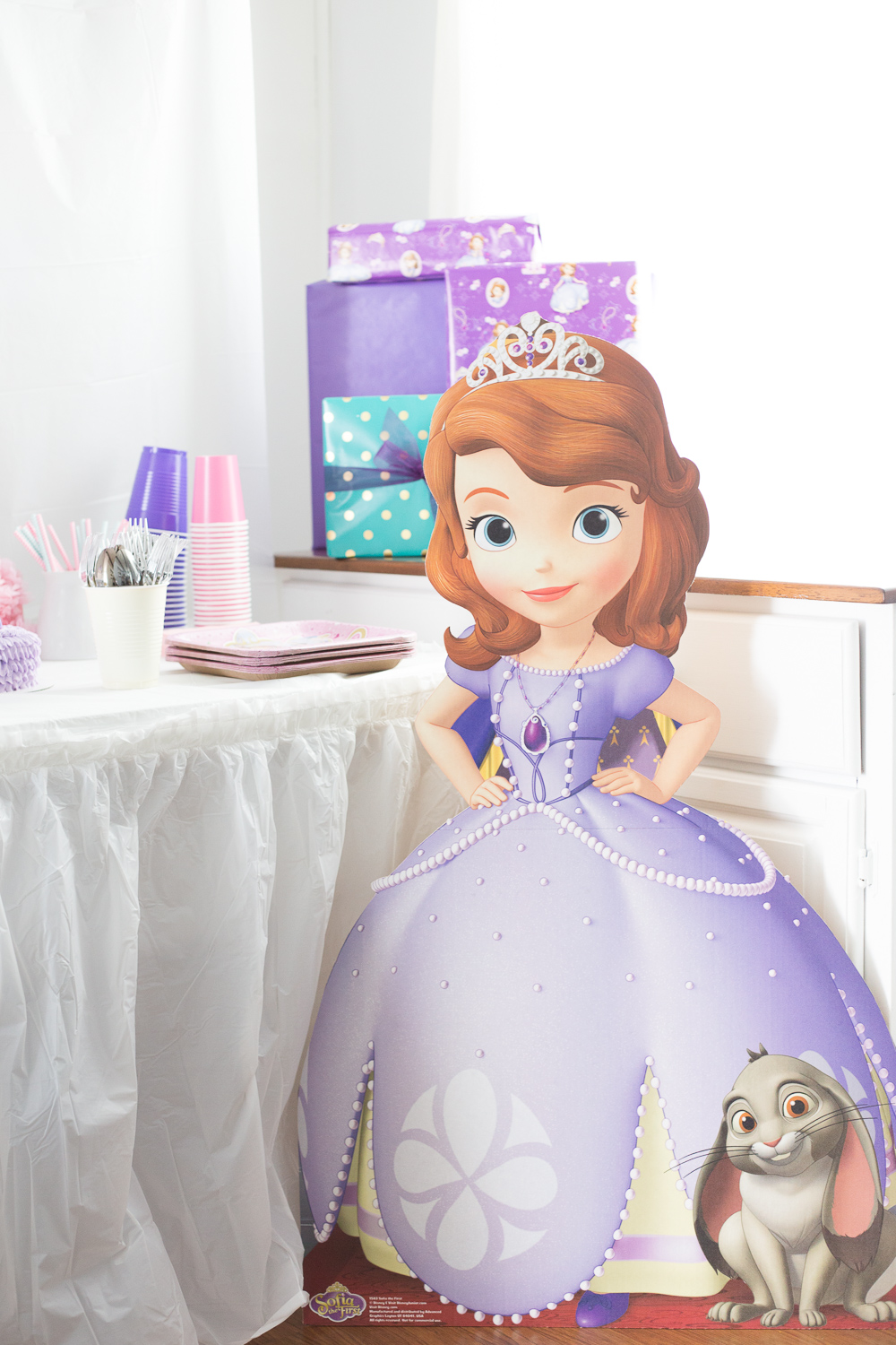 Sofia The First | Disney | Birthday Party | Girl Party |