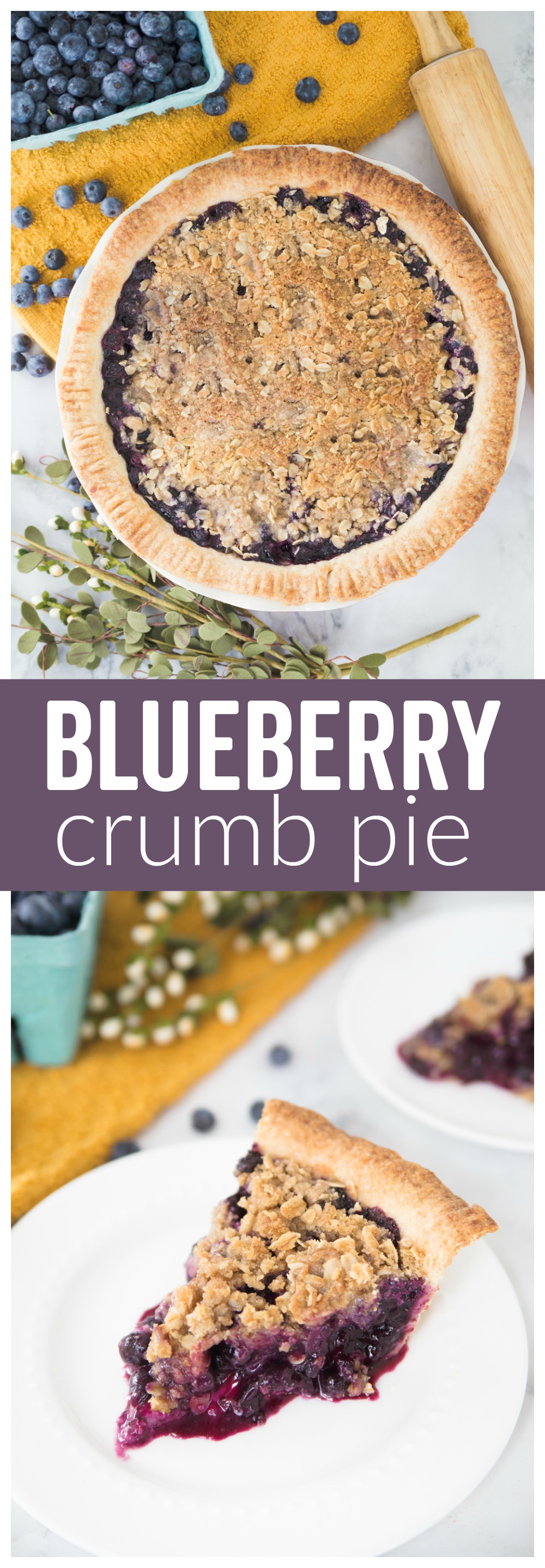 This Blueberry Crumb Pie is bursting with a sweet berry filling and topped with a crunchy crumb crust.  It's the perfect amount of crunch with the juicy berries.
