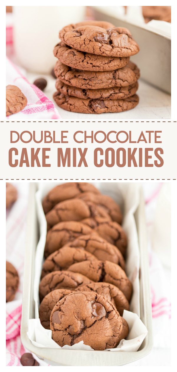 double chocolate cookies recipe