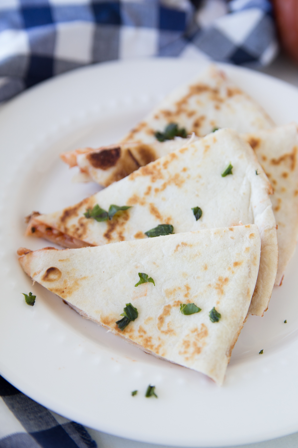 Flour tortillas topped with mozzarella cheese, homemade pizza sauce and your favorite pizza toppings makes for a delicious lunch!  Pack in a lunchbox for work, school, picnics, hikes, or just a yummy on-the-go lunch idea. 