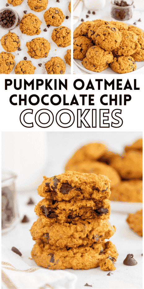 Pumpkin Chocolate Chip Oatmeal Cookies are full of fall flavor! Pumpkin, cinnamon, oats, and chocolate make a delicious cookie.