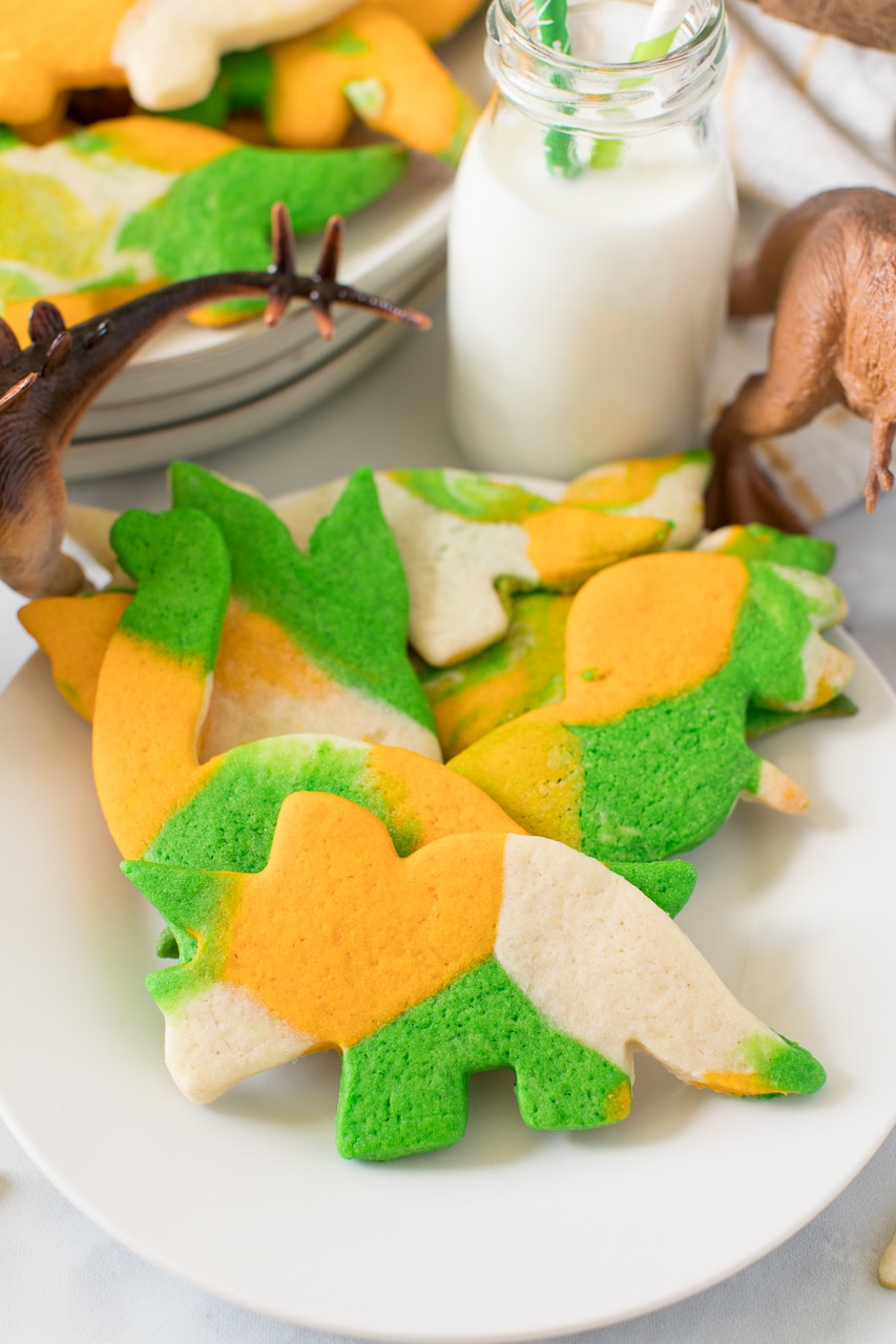 Orange, Green and White Marbled Dinosaur Cookie