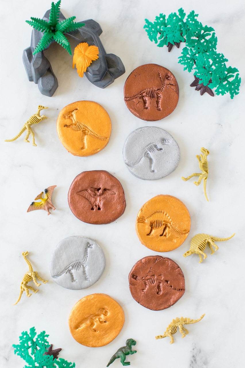 Dinosaur Fossils for Kids