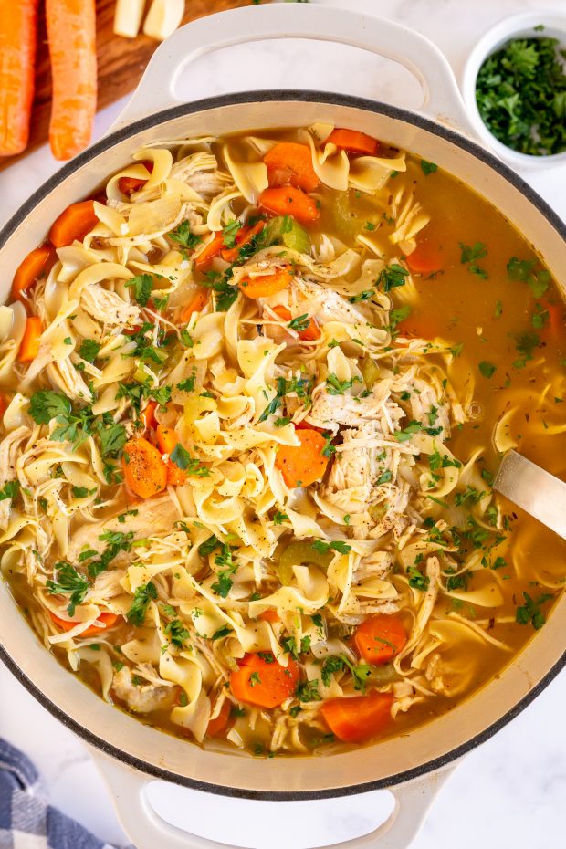 homemade chicken noodle soup in large stock pot
