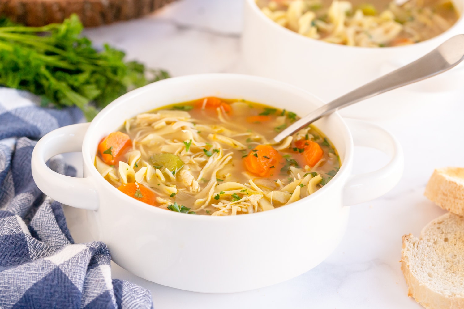 chicken noodle soup in serving bowl