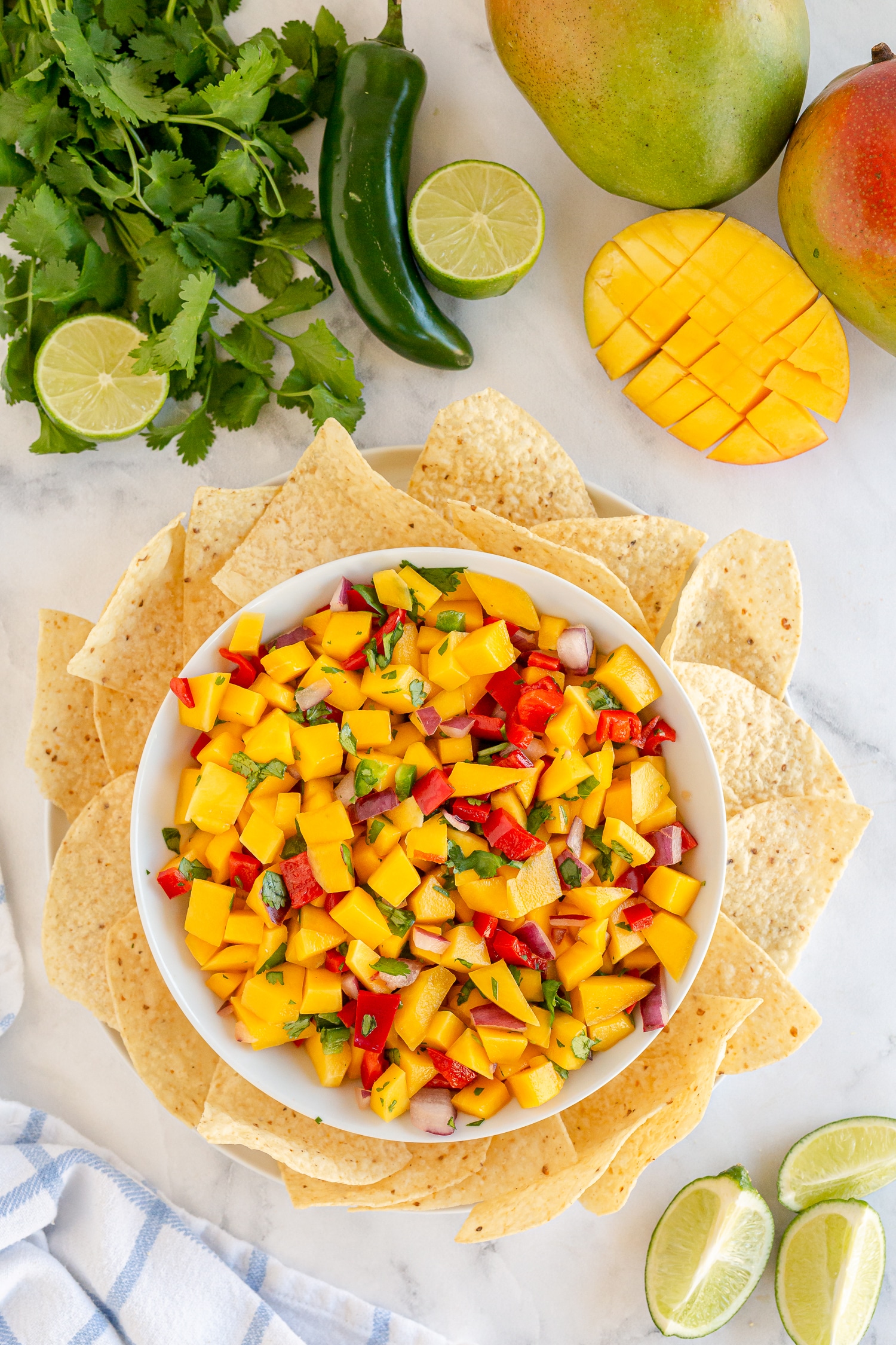 Fresh ingredients make this delicious mango salsa that's a little spicy and a little sweet! Serve over fish, chicken or with tortilla chips!