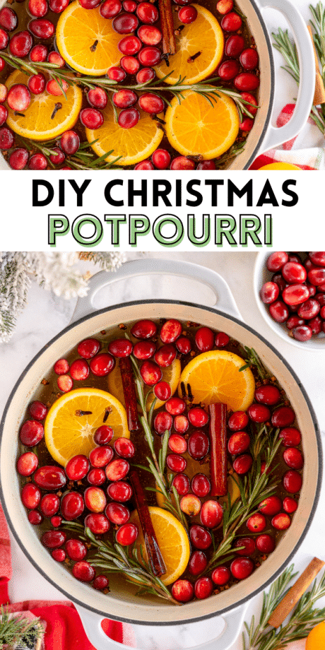 Don't you wish you could bottle up that holiday Christmas smell and keep it forever? Now you can with this DIY Christmas Potpourri!