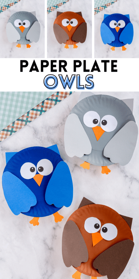 Paper Plate Owls Pinterest Image