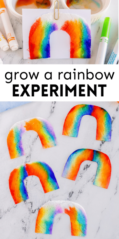Grow a Rainbow Experiment