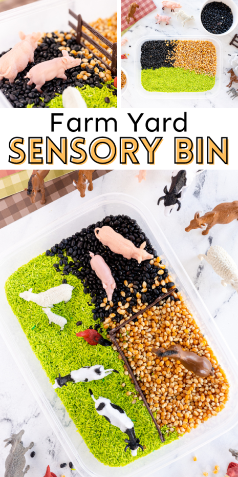 Make this simple and adorable farm sensory bin and let your kids explore their five senses while their learn about farm animals.