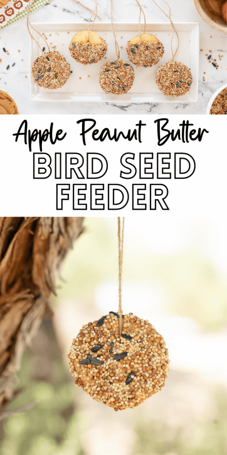 Beautiful apple bird feeders that are simple and fun to make as a whole family. They hang easily in the backyard and birds love them.