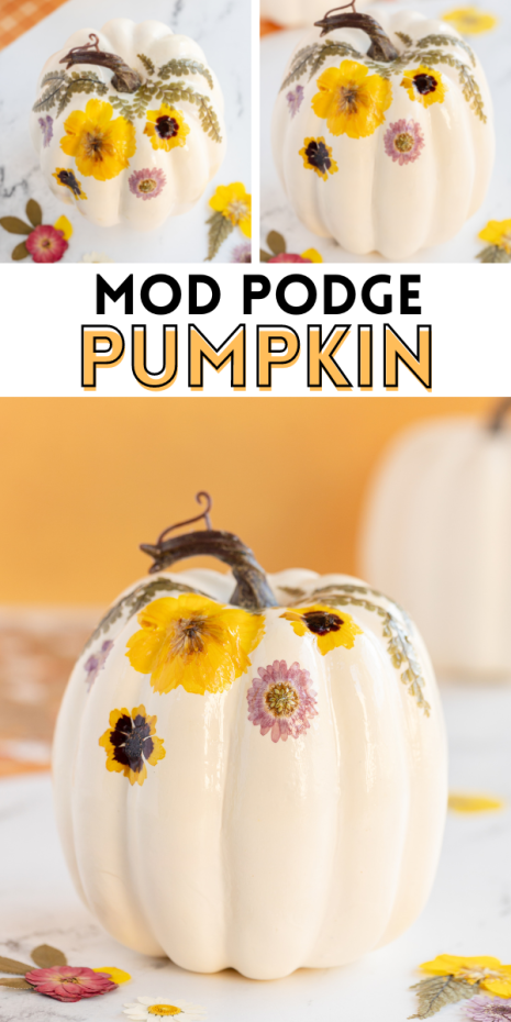 A Mod Podge Pumpkin is a simple and pretty craft to create this fall season using pressed flowers, mod podge and a faux pumpkin.