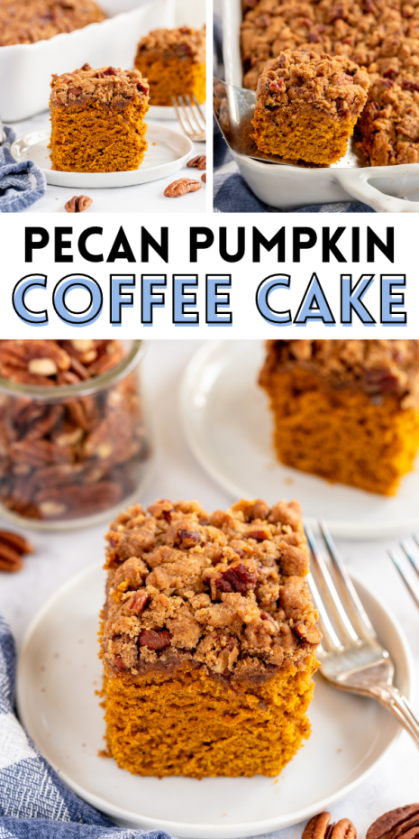 An Easy Pecan Pumpkin Coffee Cake that is so delicious during pumpkin season. This cake is moist, flavorful and has a delicious crunchy topping.