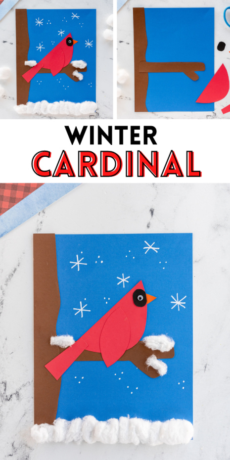 A quick and easy winter cardinal craft for the home or a study on winter birds with your students in the classroom.