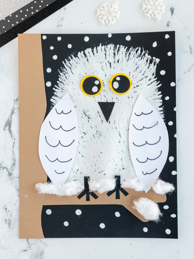 Fork Painted Snowy Owl