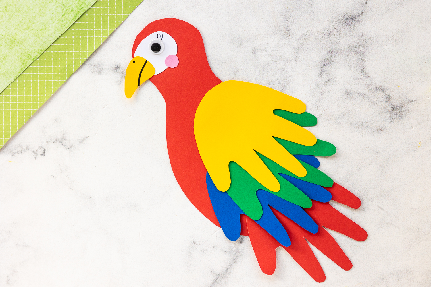 color handprints on parrot body