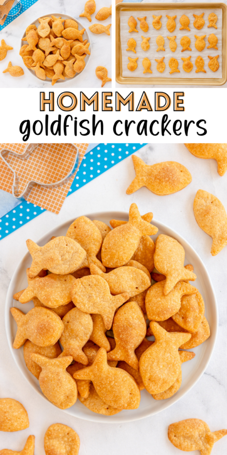 Let’s dive into a super fun culinary adventure — homemade Goldfish Crackers! We all love these little poppable snacks, but did you know you could make them at home SUPER easy?